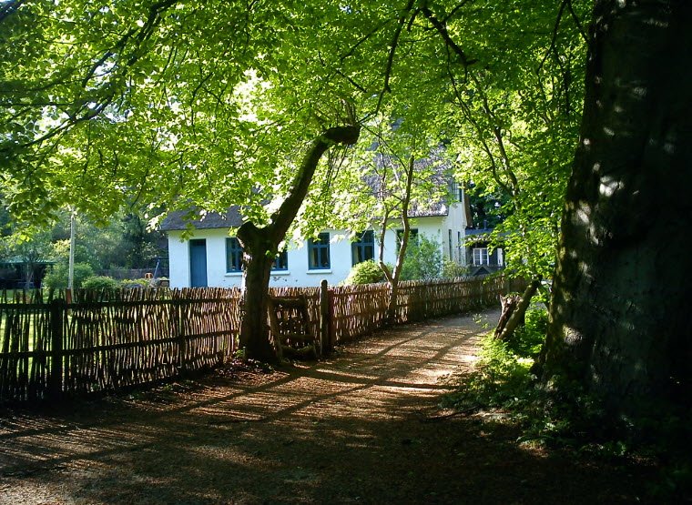 Forstbotanisk Have, Denmark